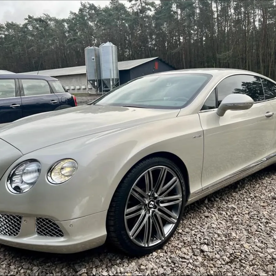 Jasne luksusowe coupé po detailingu